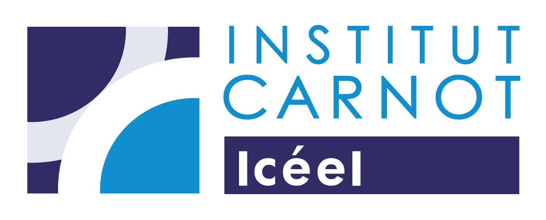 Institute Carnot ICEEL